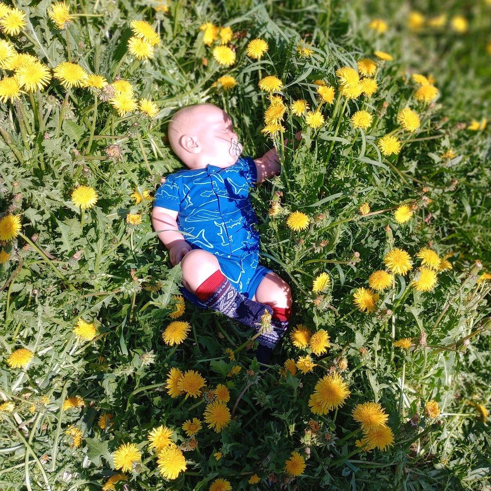 Photograph by Sander Sætervold