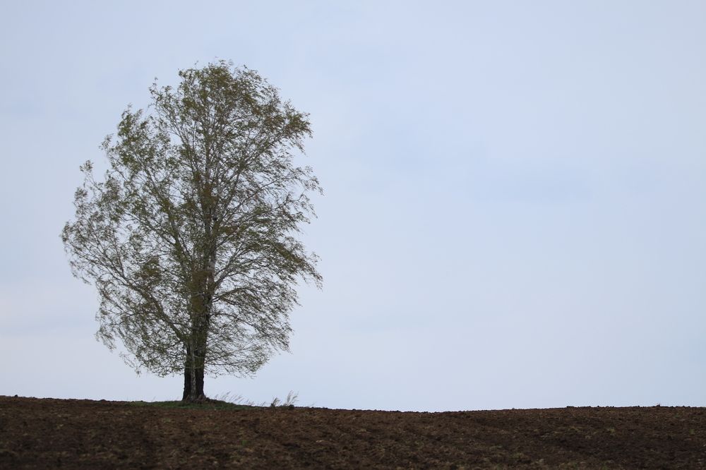 Photograph by Елизавета Цемко