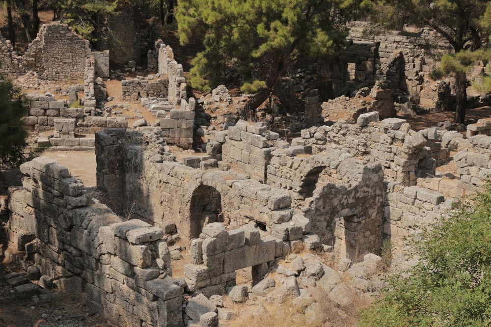 Photograph by Елизавета Цемко