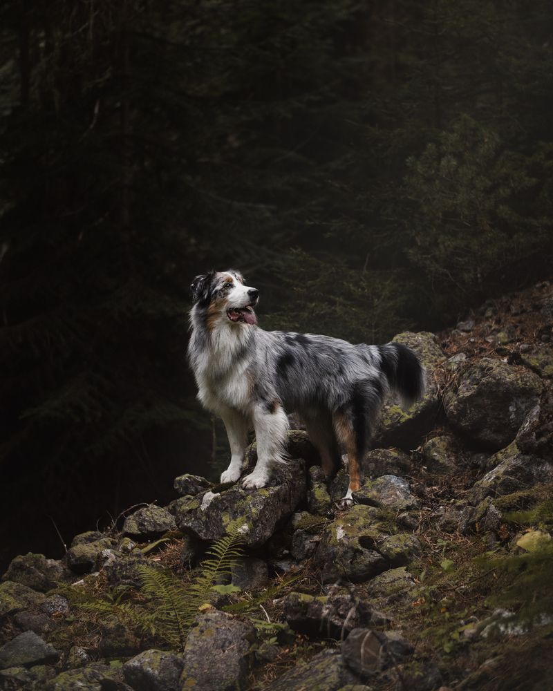 Фотография автора Саша Зуева