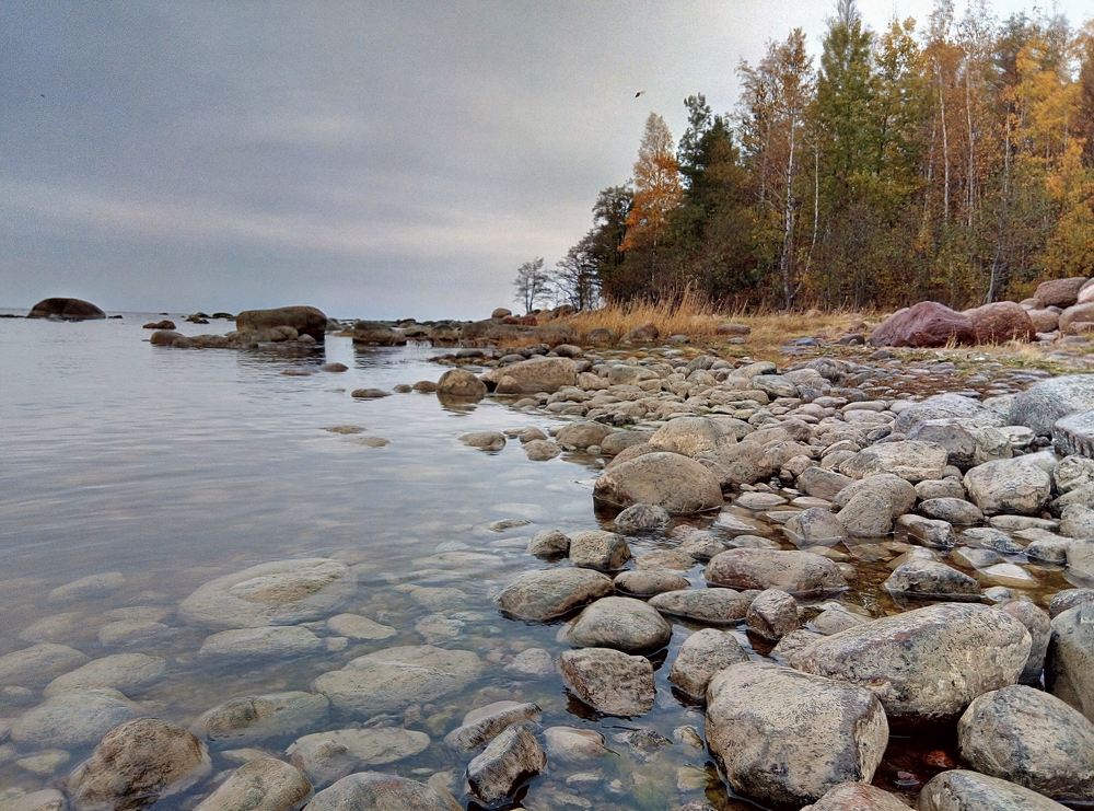 Photograph by Svetlana Gubanova