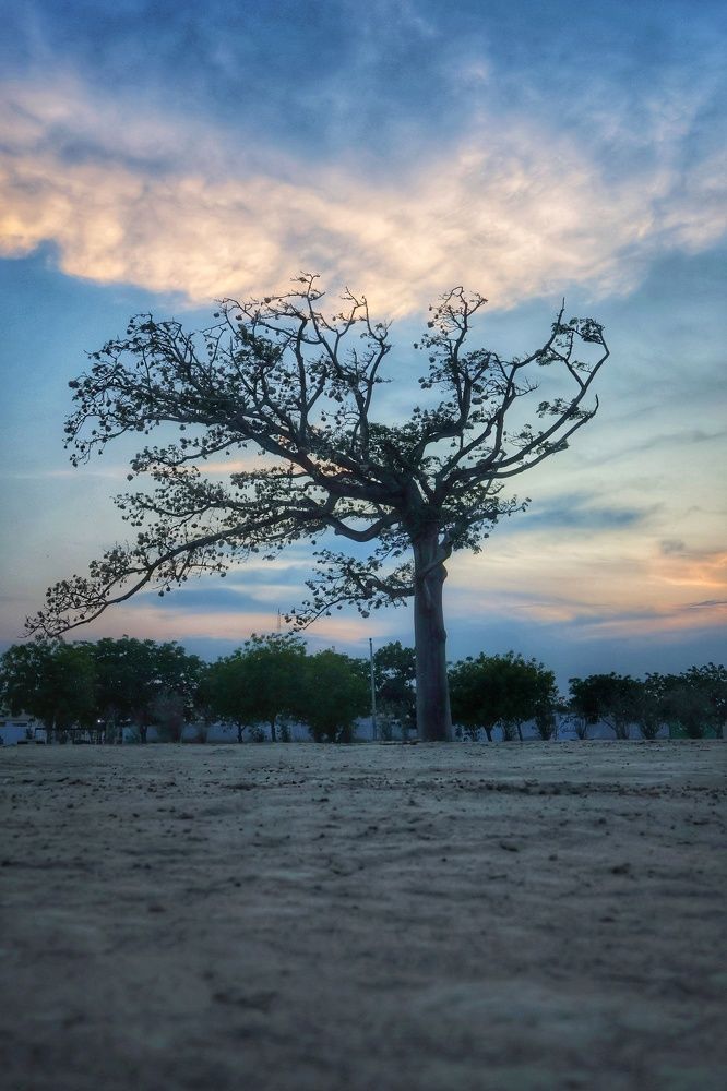 Photograph by Ulises Pintos