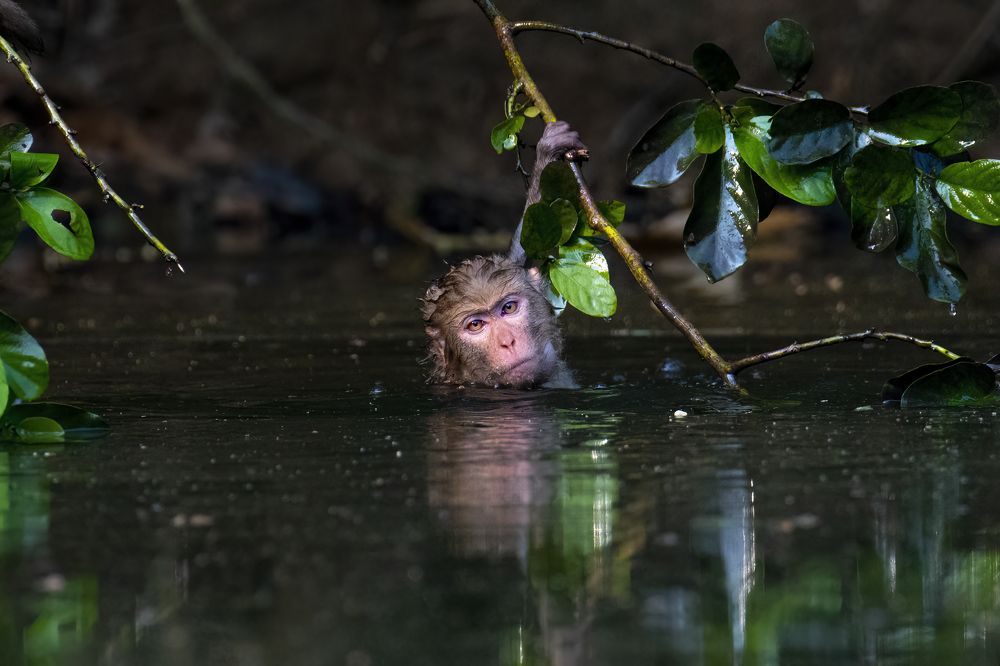 Photograph by Shahed Ahmed