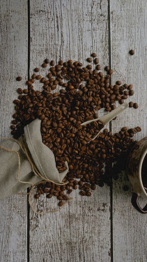 Photograph by Dina Din