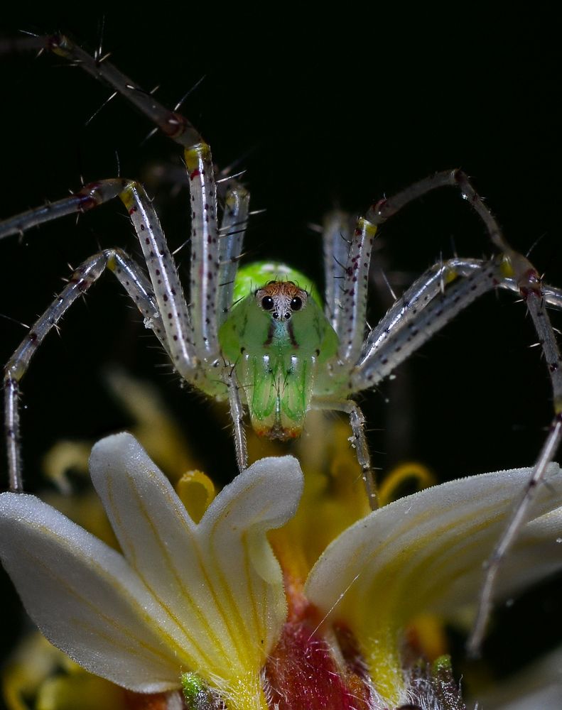 Photograph by Kasun Wickramasinghe
