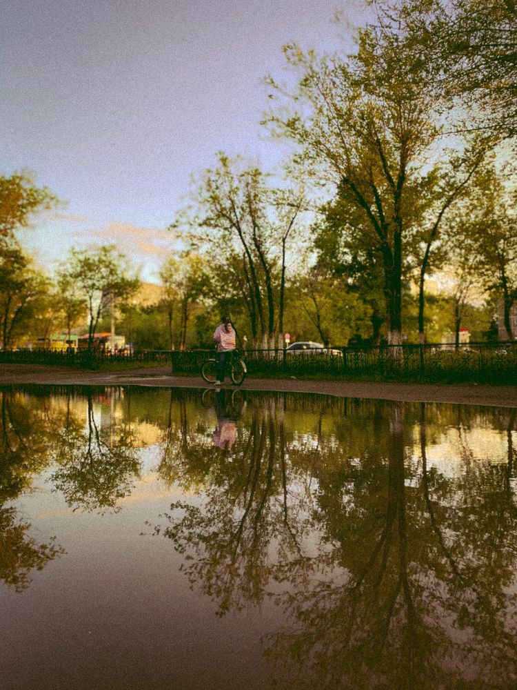 Photograph by Dina Din