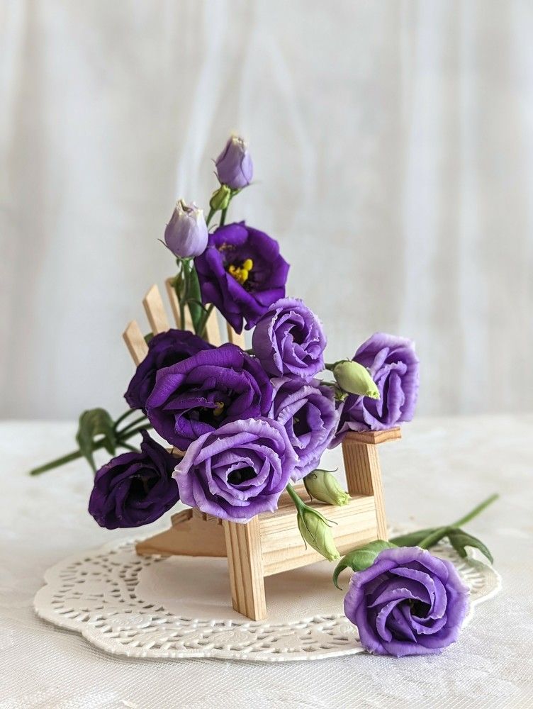 Photograph by Shaila Mahbub