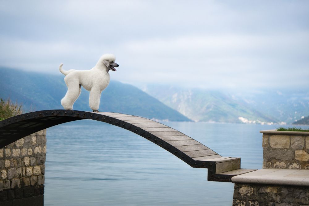 Photograph by Ирина Андрианова