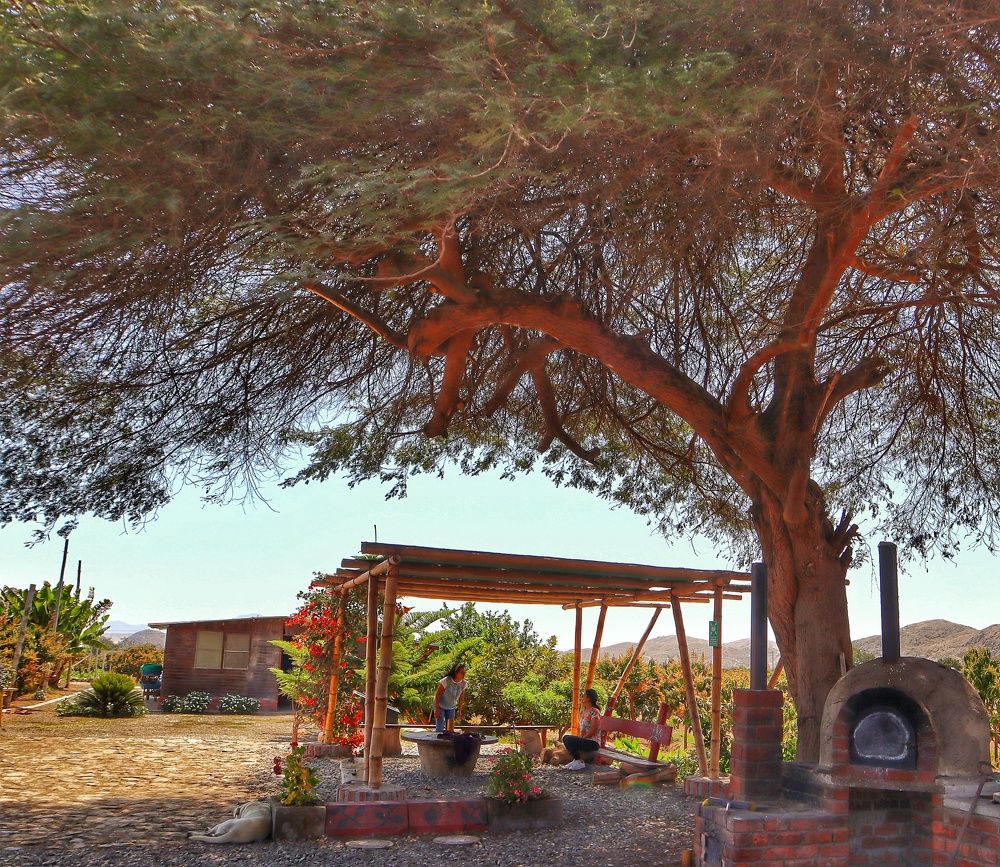 Photograph by Jorge Giol - El Caminante