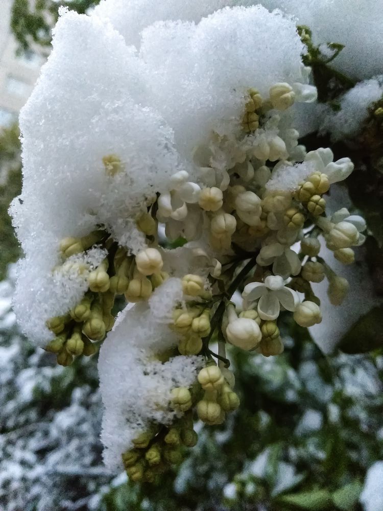 Photograph by Наталья Трофимова