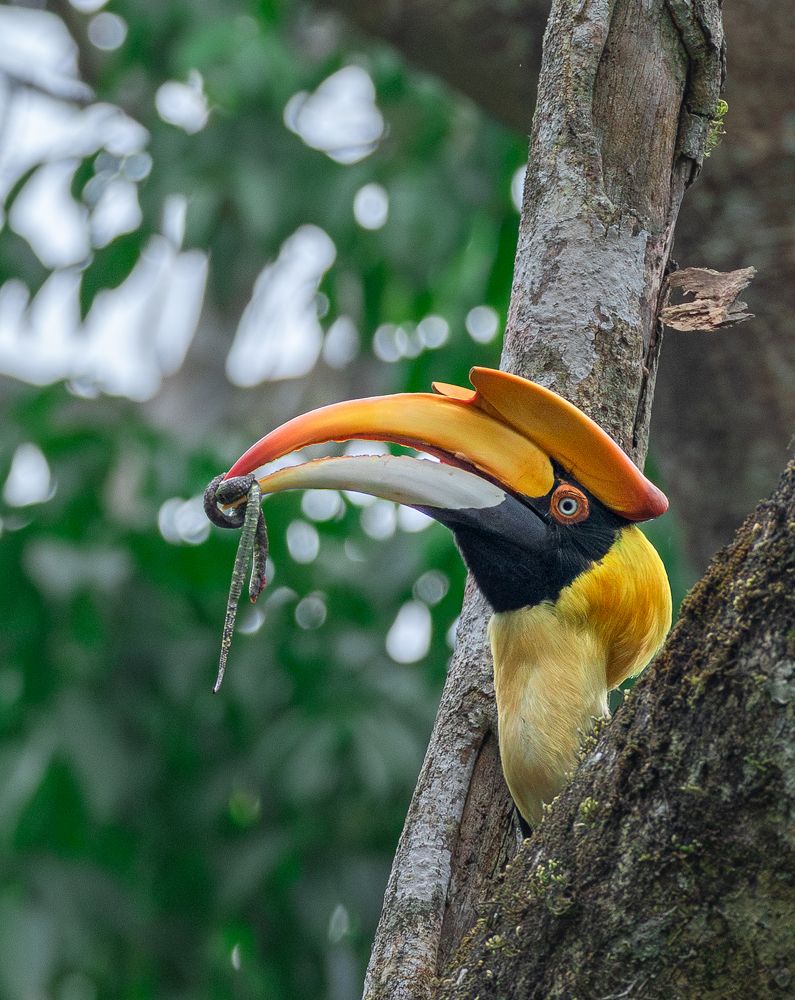 Photograph by Sangeetha Damodaran