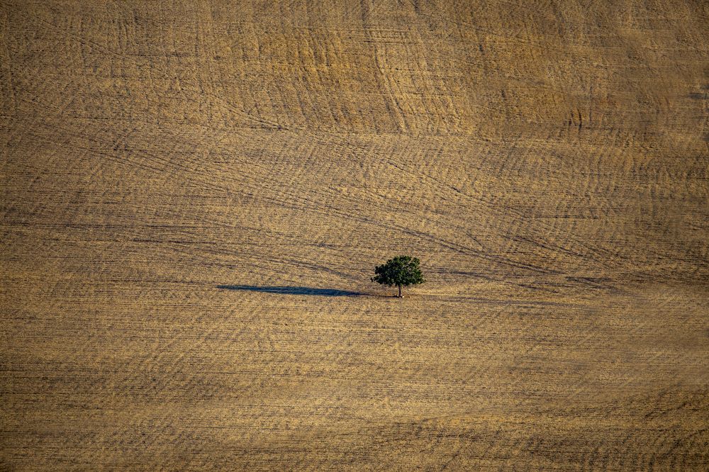 Photograph by Onur Polat