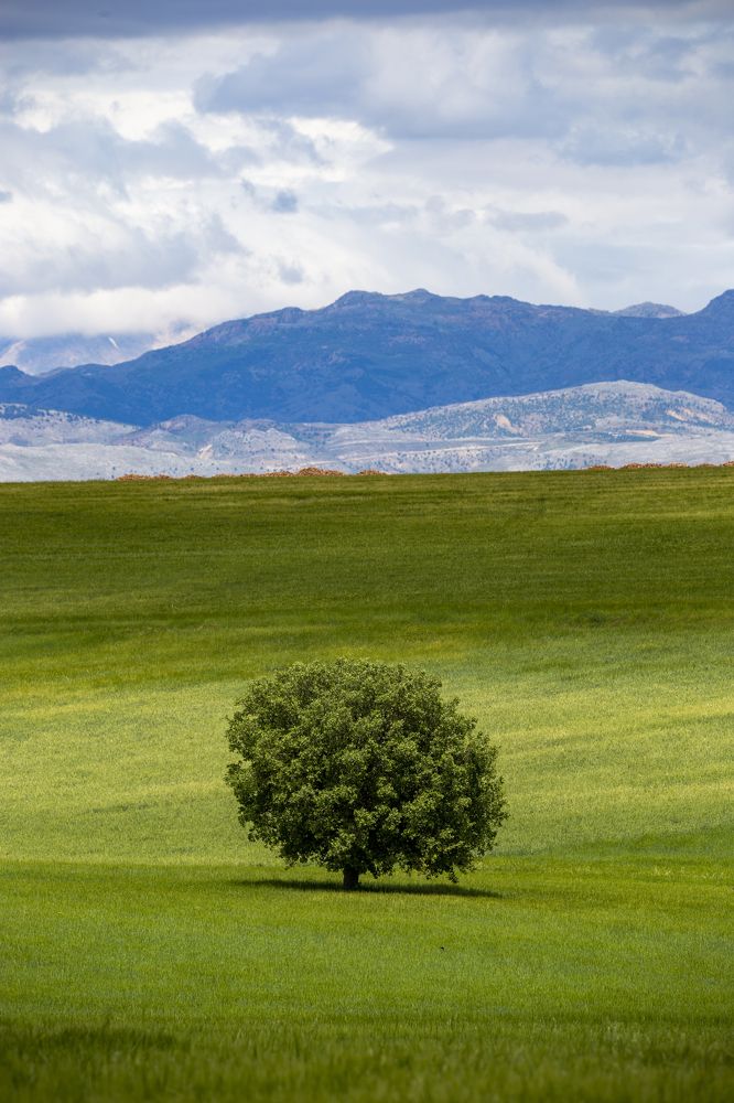 Photograph by Onur Polat