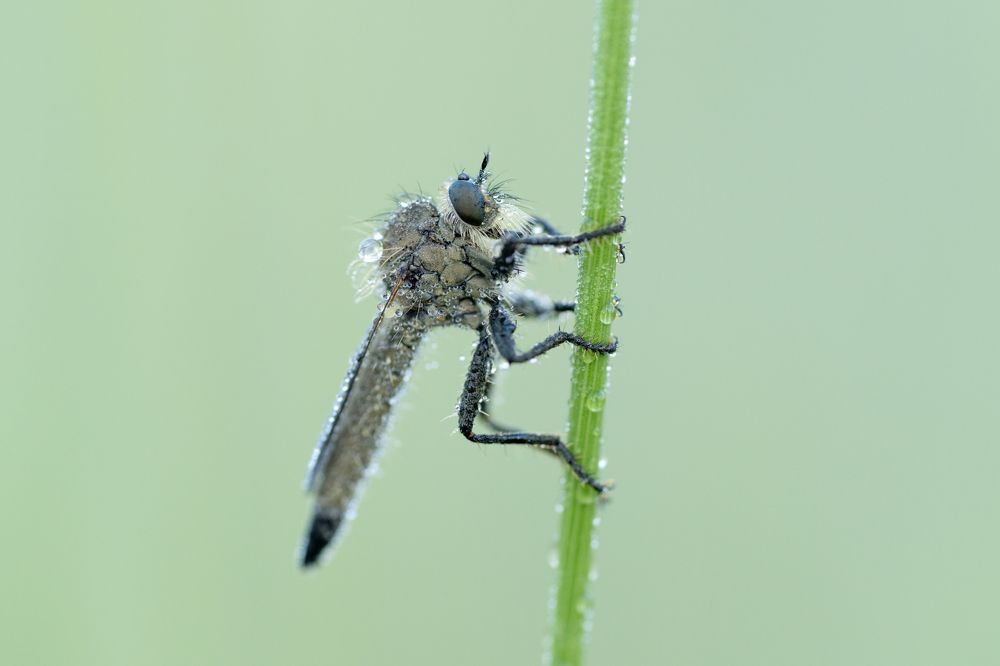 Photograph by Nazim Tetik