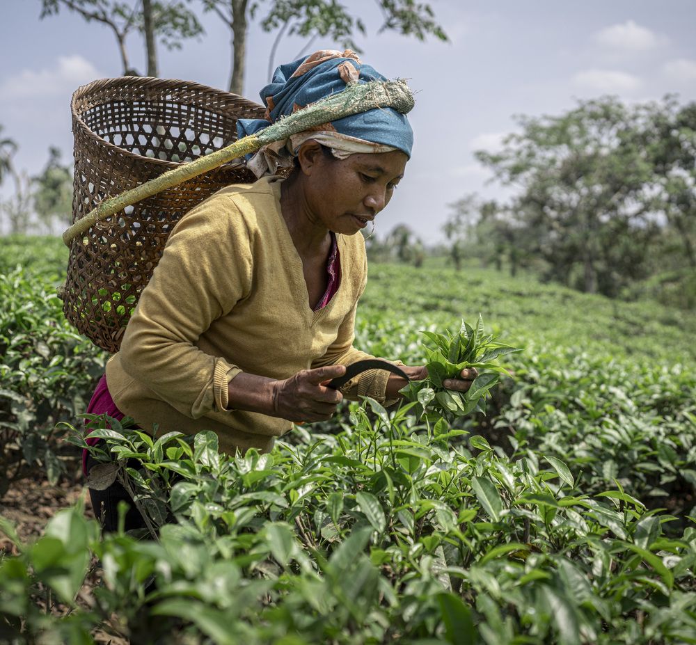 Photograph by Сергей Танков