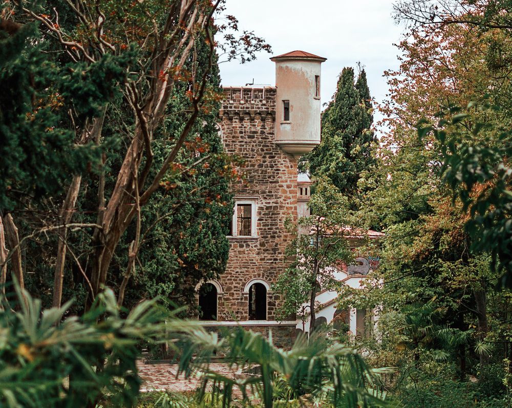 Photograph by Репьева Елена