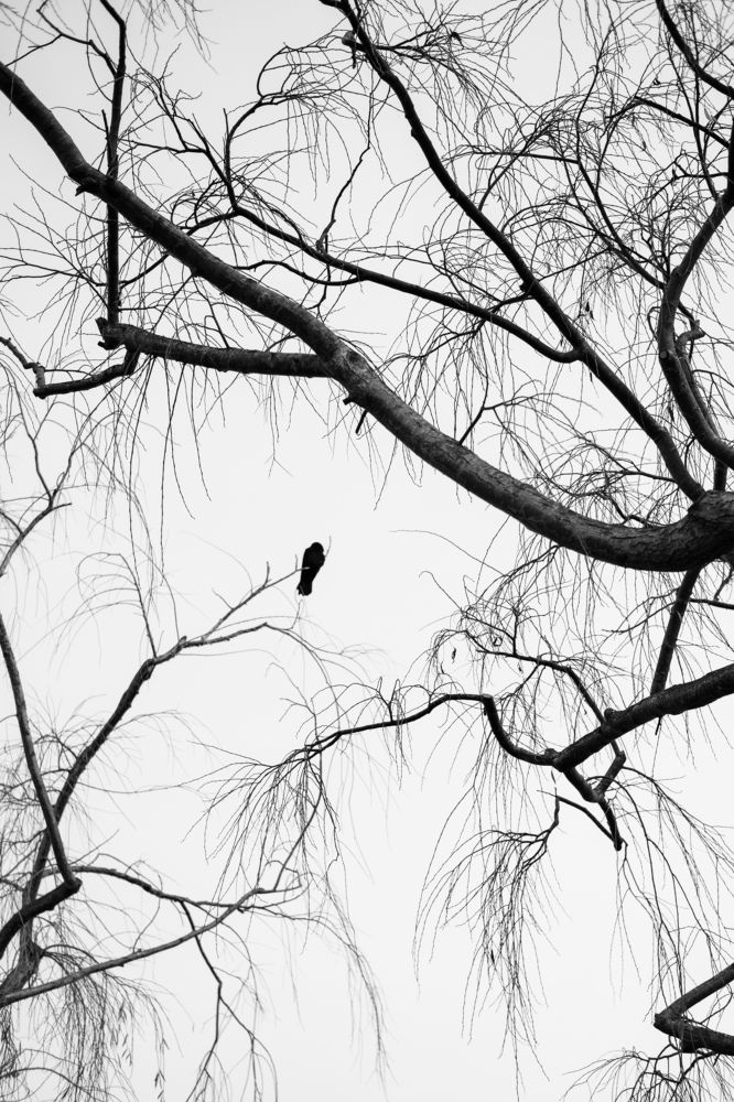 Photograph by Anna Cherkasova