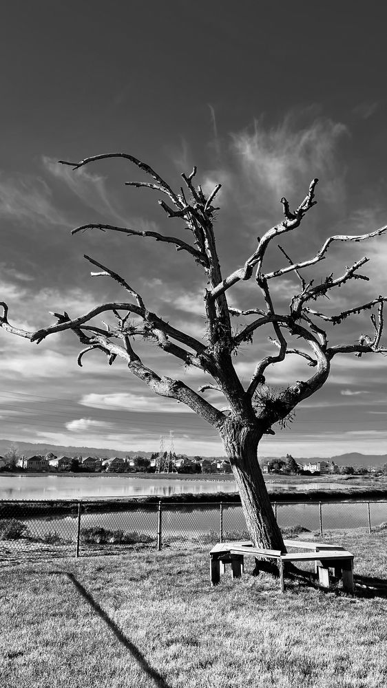 Photograph by Anna Cherkasova