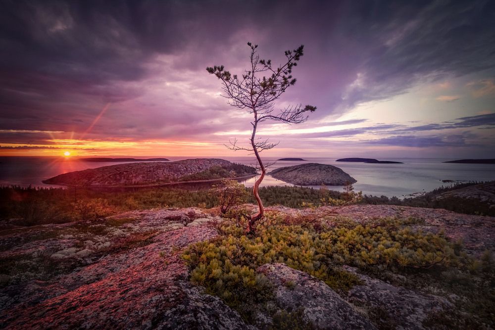 Photograph by Елена Ермолина