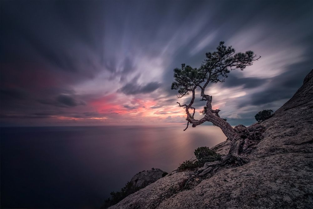 Photograph by Елена Ермолина