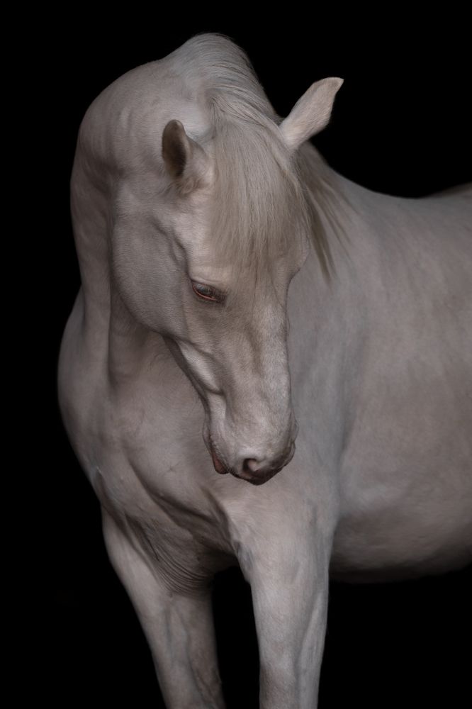 Photograph by Светлана Балабанова