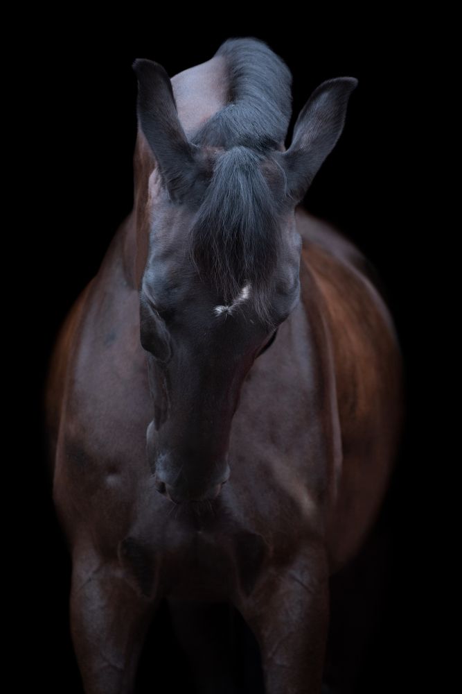 Photograph by Светлана Балабанова