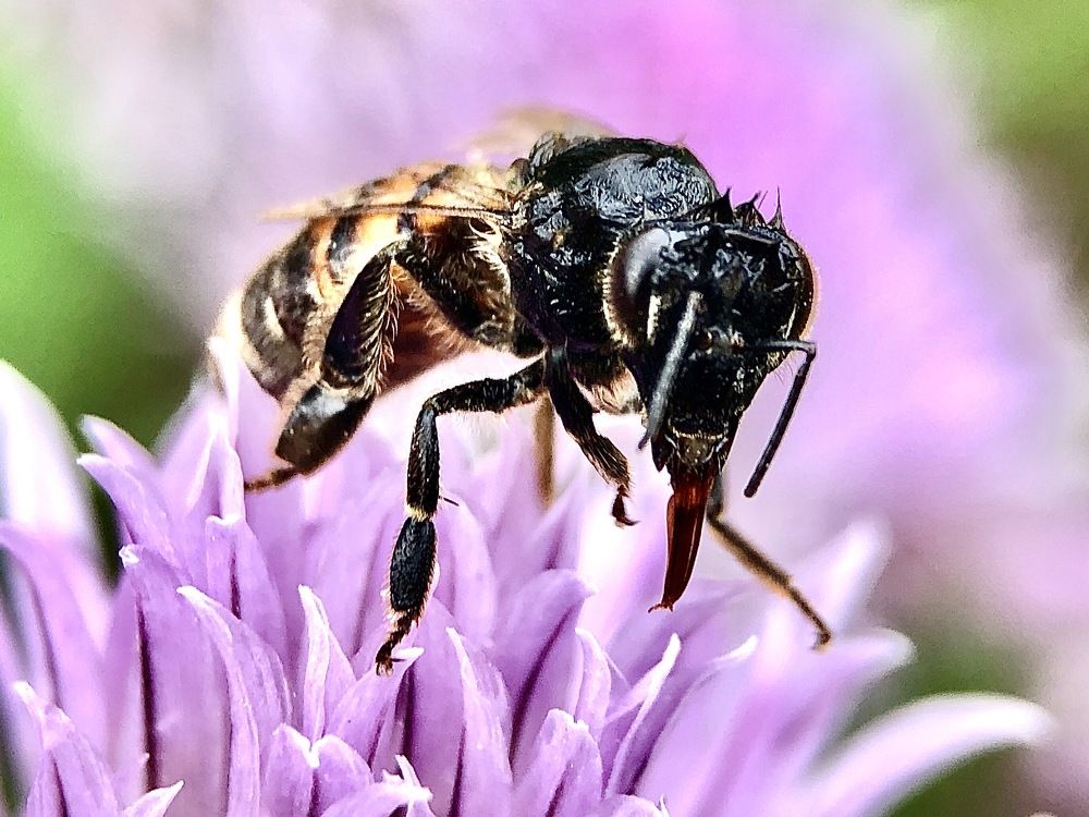 Photograph by Алексей Горин