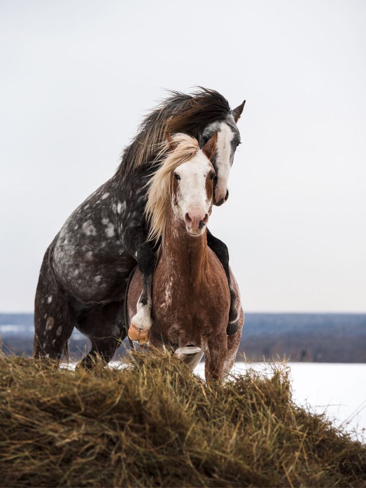 Photograph by Светлана Балабанова