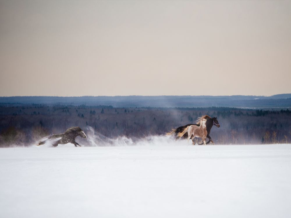 Photograph by Светлана Балабанова