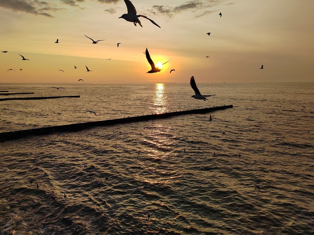 Photograph by Margareth Tikhonova