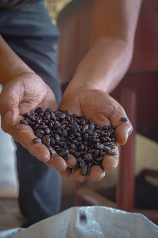 Cafe de La Paz Honduras