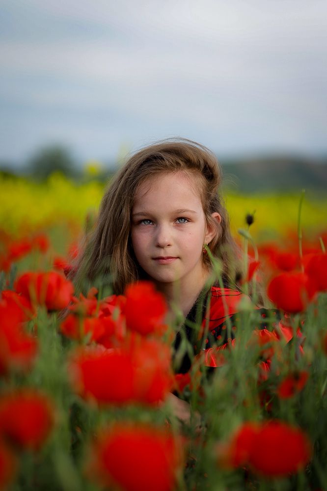 Маки. Кыргызстан. Бишкек.