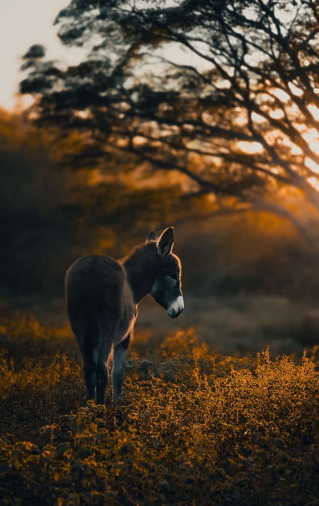 Photograph by Mario Antonio Cuadra