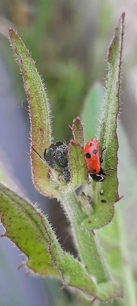 Photograph by Claudia Freitas