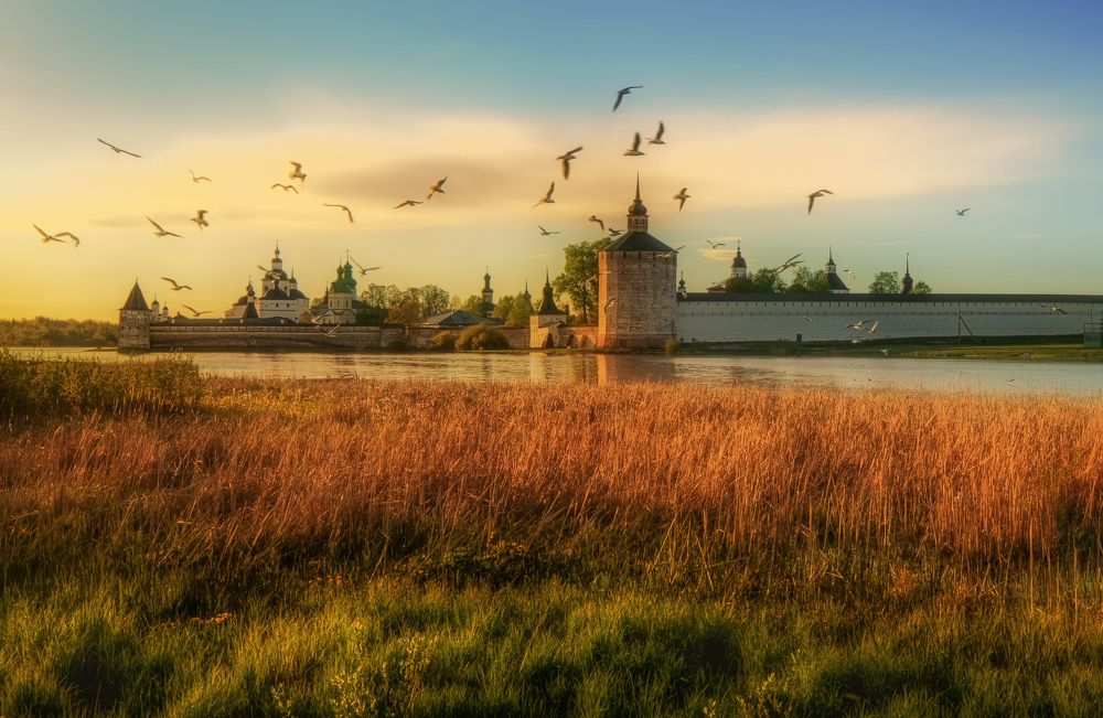 Летят птицы