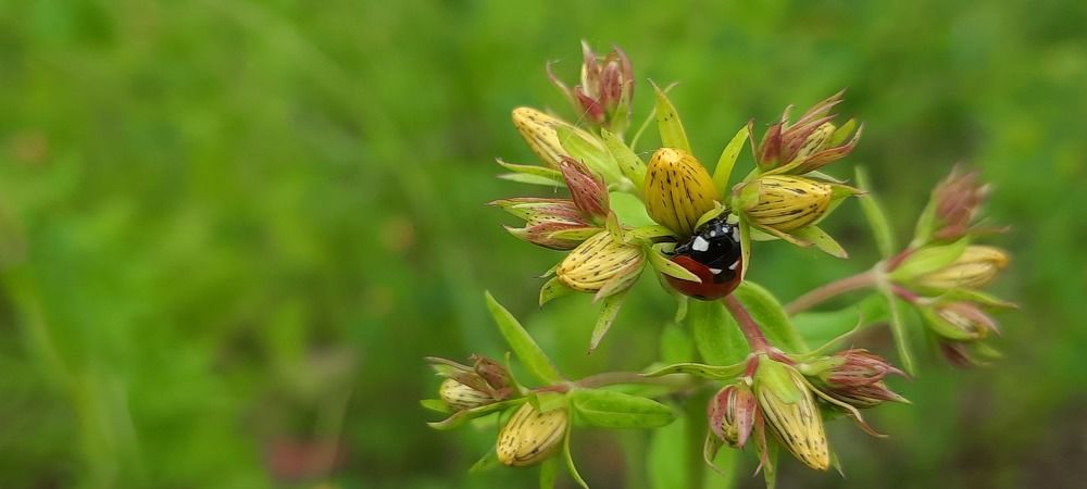 Photograph by Claudia Freitas