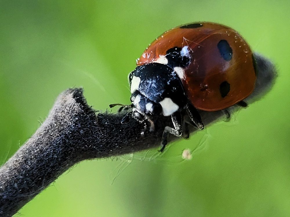 Photograph by Алексей Горин