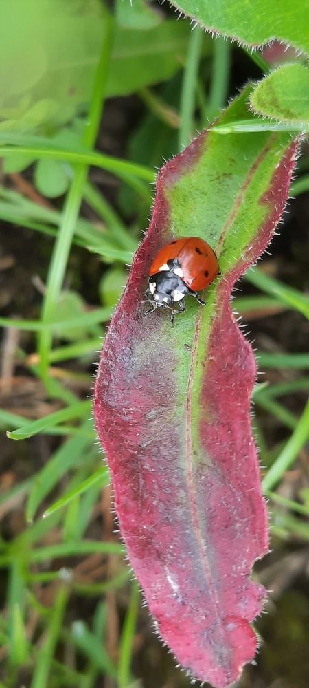 Photograph by Claudia Freitas