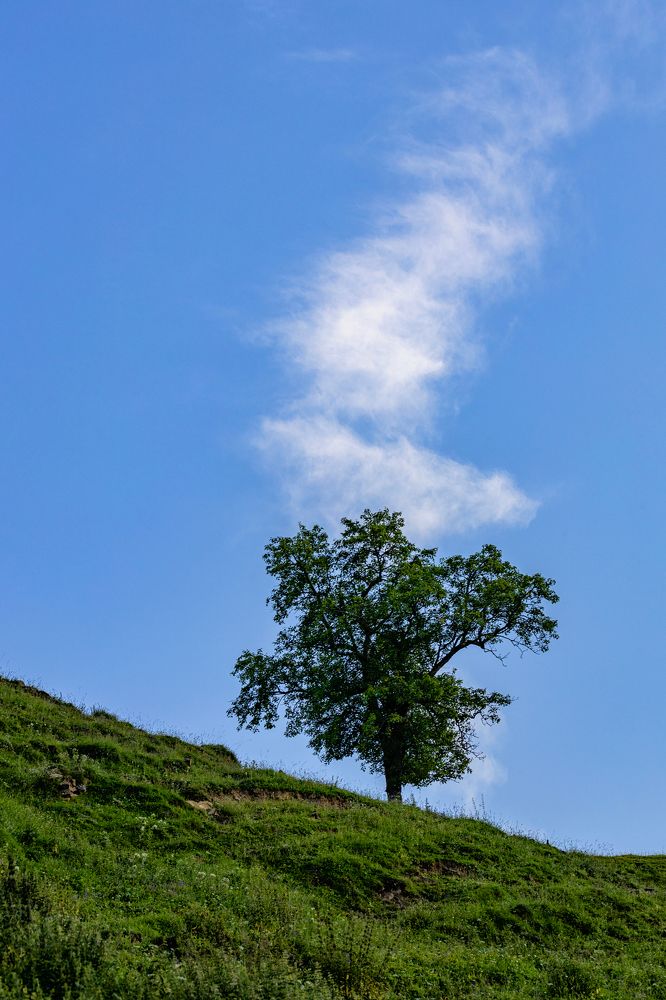 Photograph by Подосинников Максим