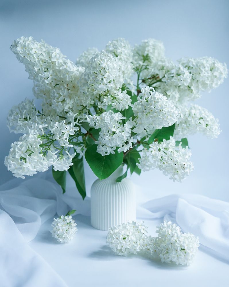 Photograph by Елена Кирикова