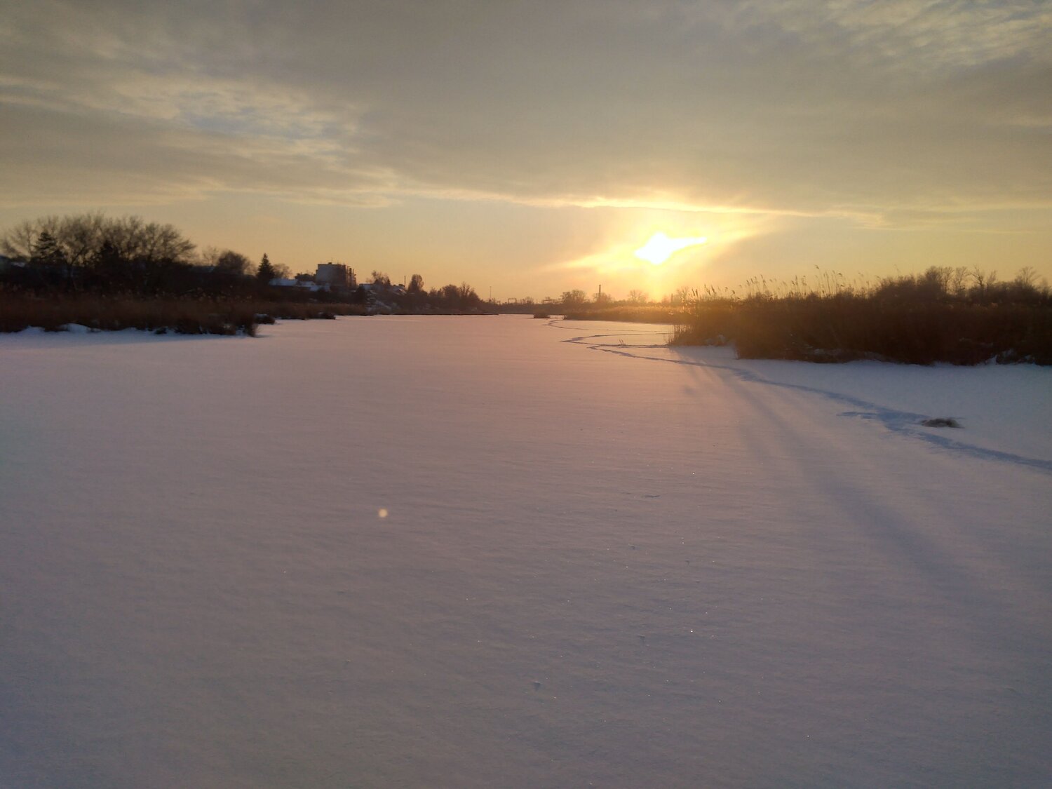 Photo #10669571