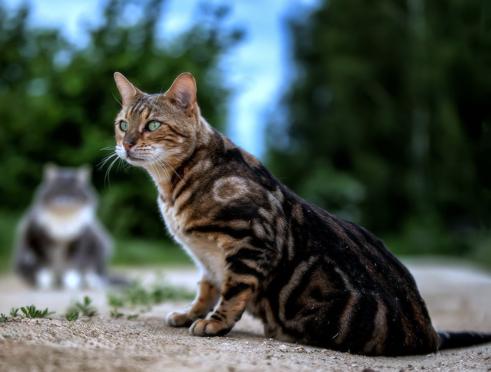 Photograph by Андрей Автухов