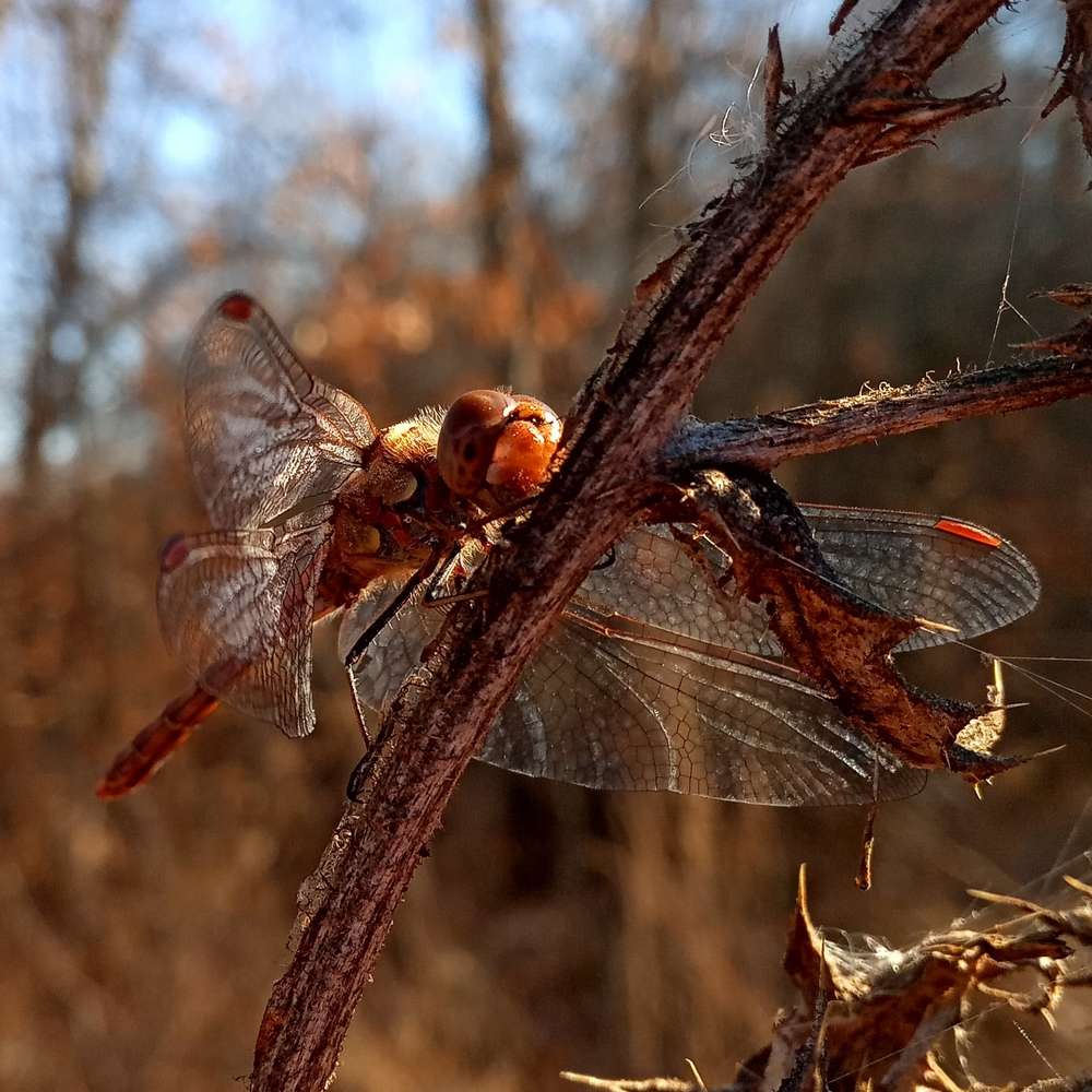 Photograph by Ольга Салтыкова