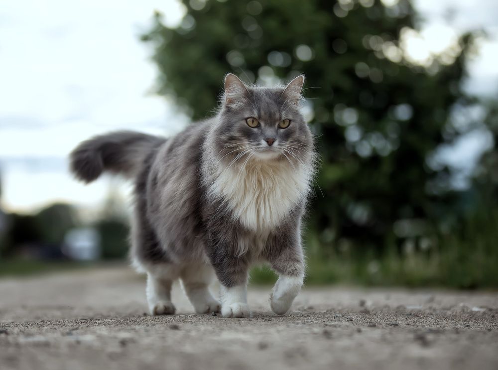 Photograph by Андрей Автухов