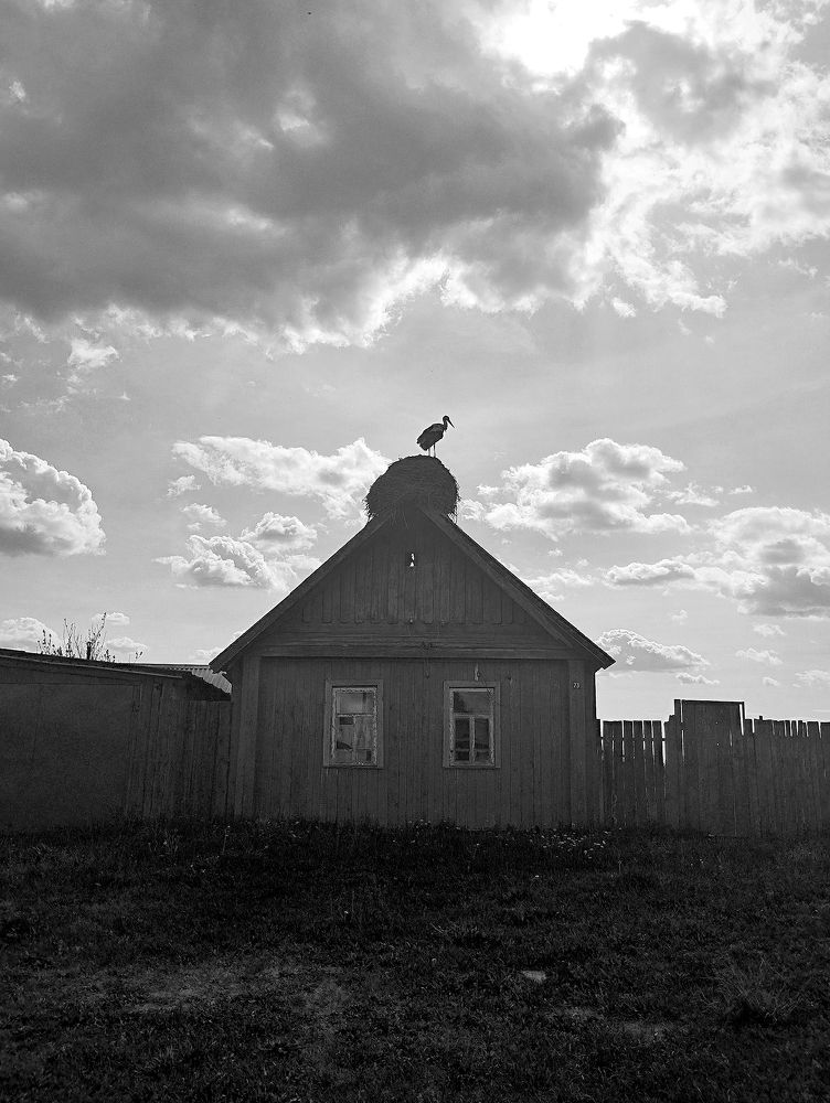 Фотография автора Наталья Боярина