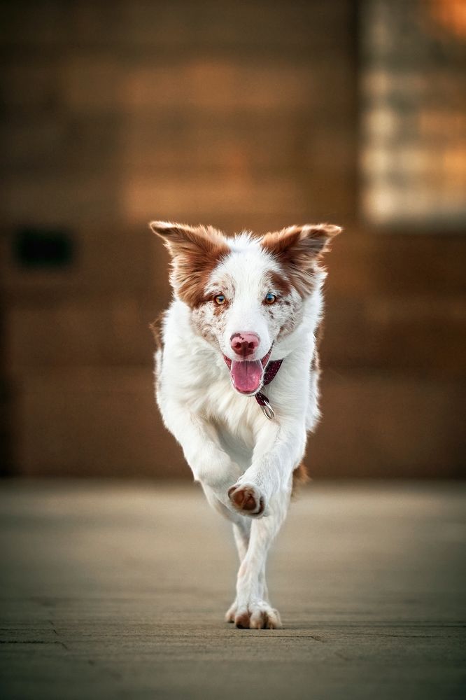 Photograph by Вострецов Иван