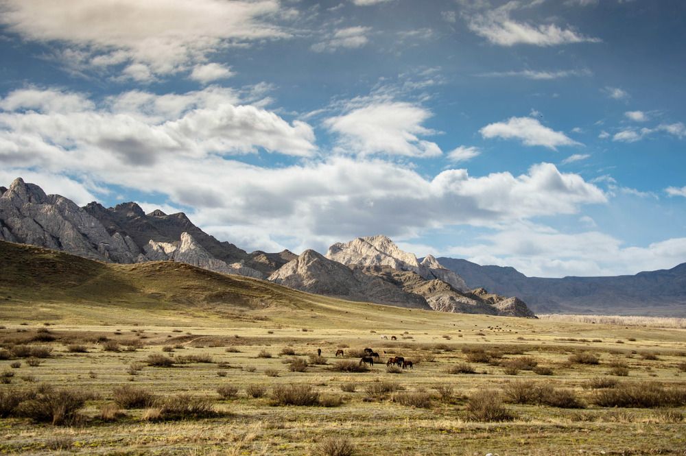 Photograph by Сергеев Айпалат