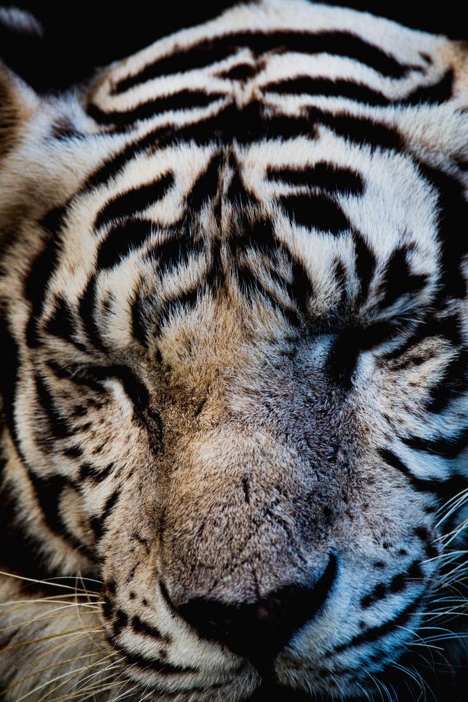 Photograph by Максим