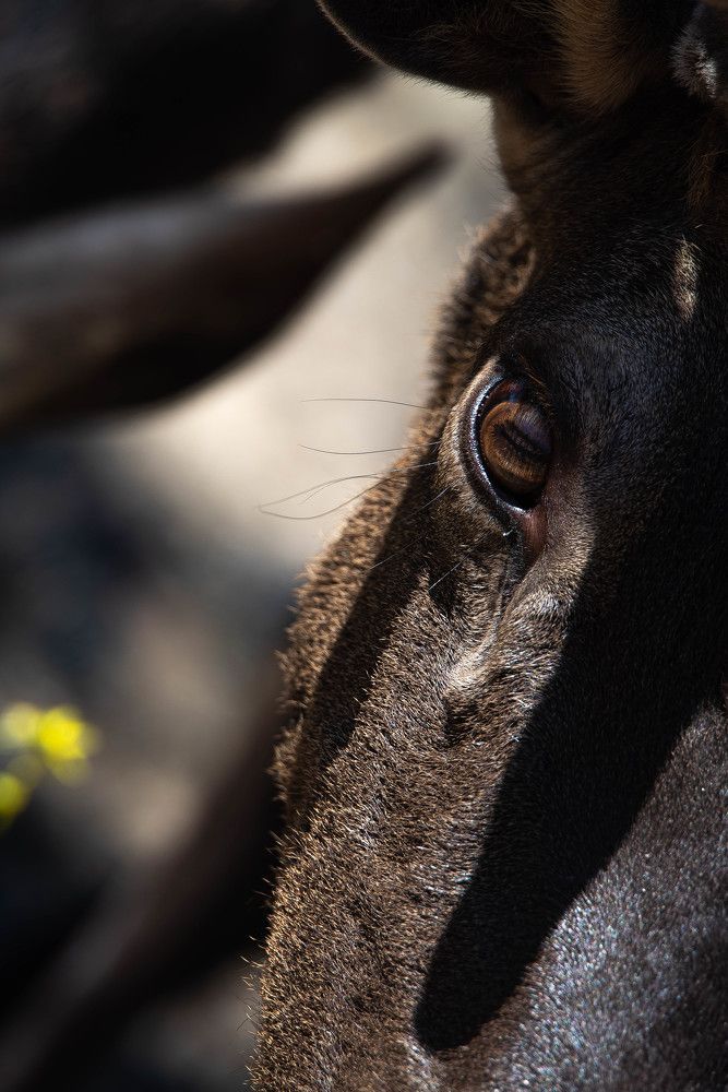 Photograph by Максим