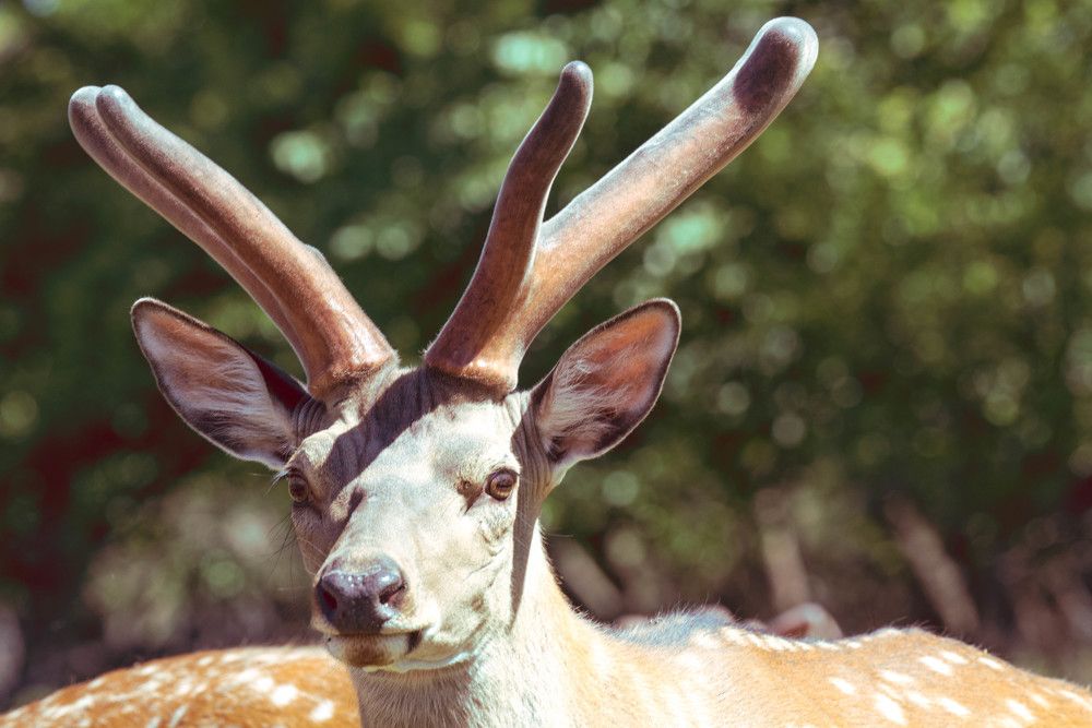 Photograph by Максим